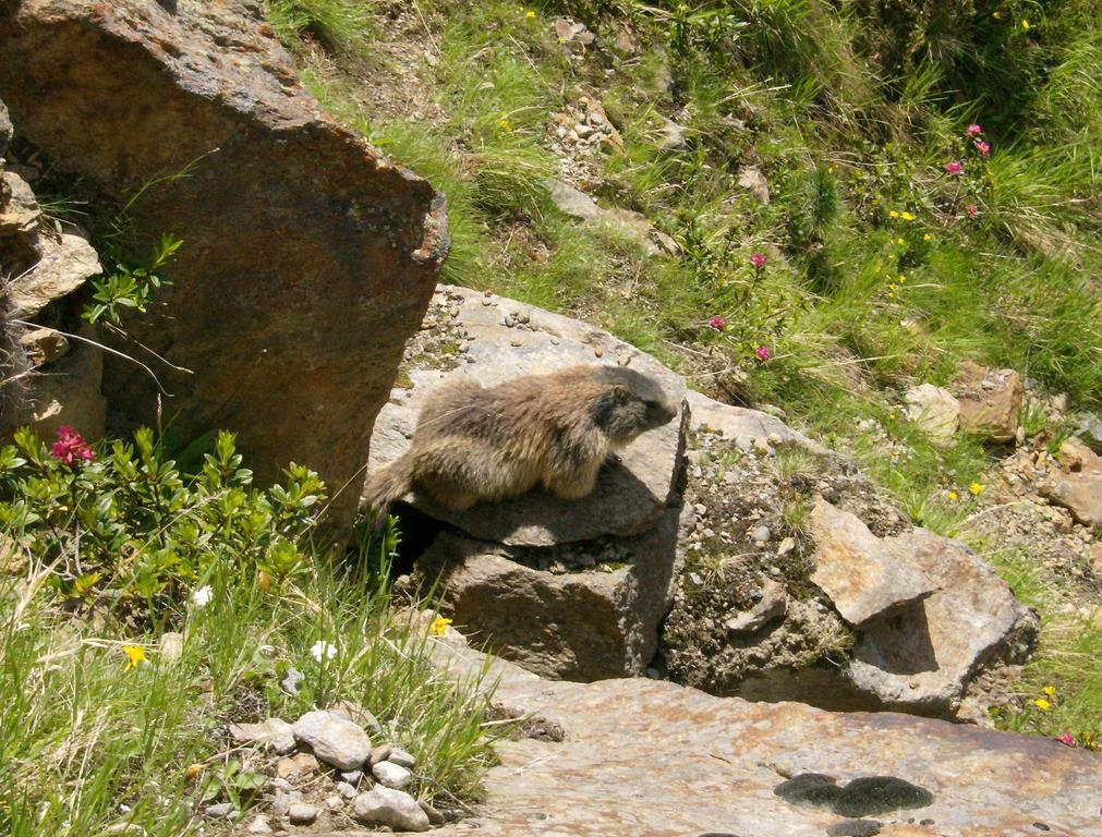 Haus Plankensteiner Hotel Kaunertal Kültér fotó